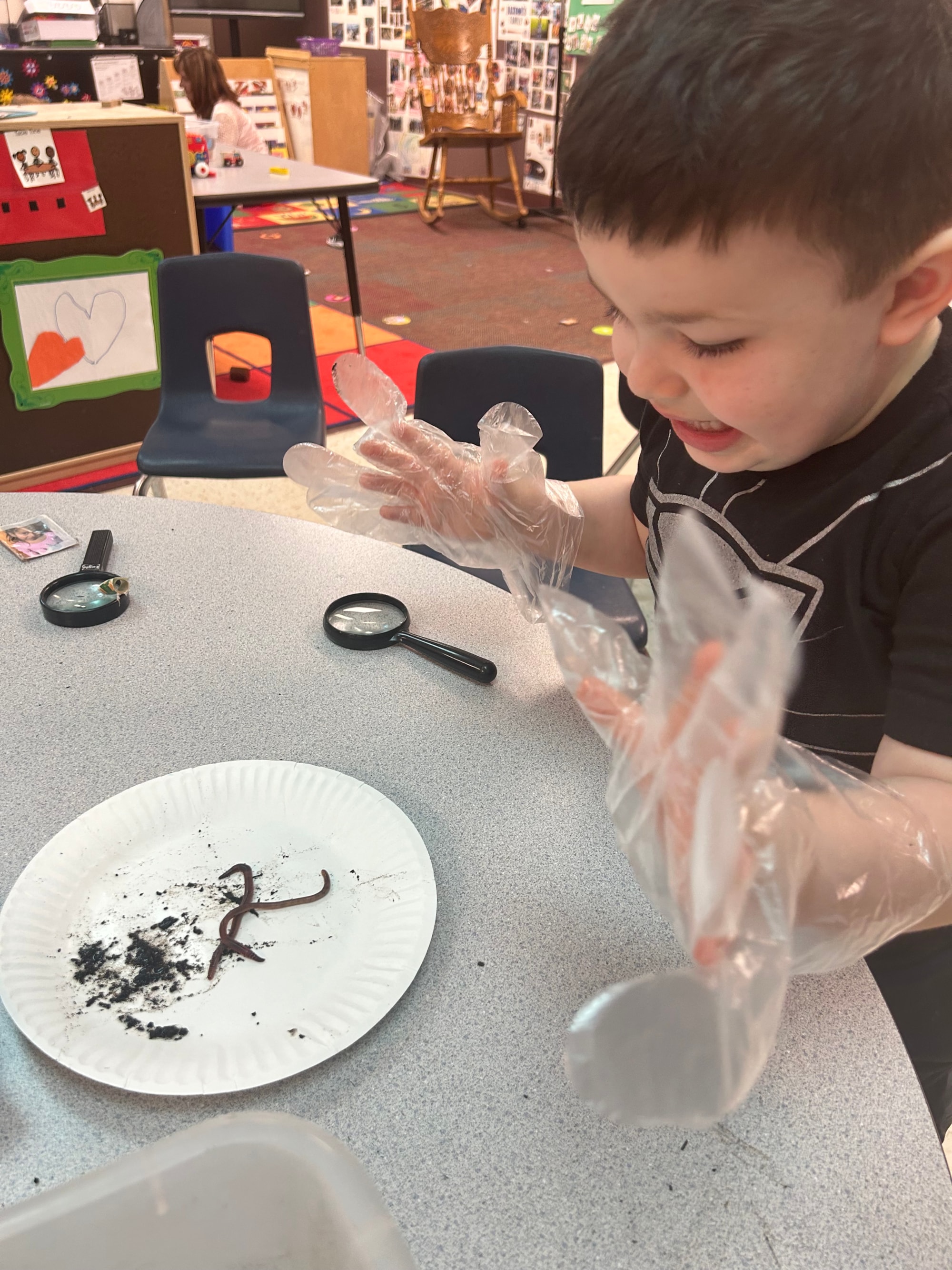 Student examines earthworms