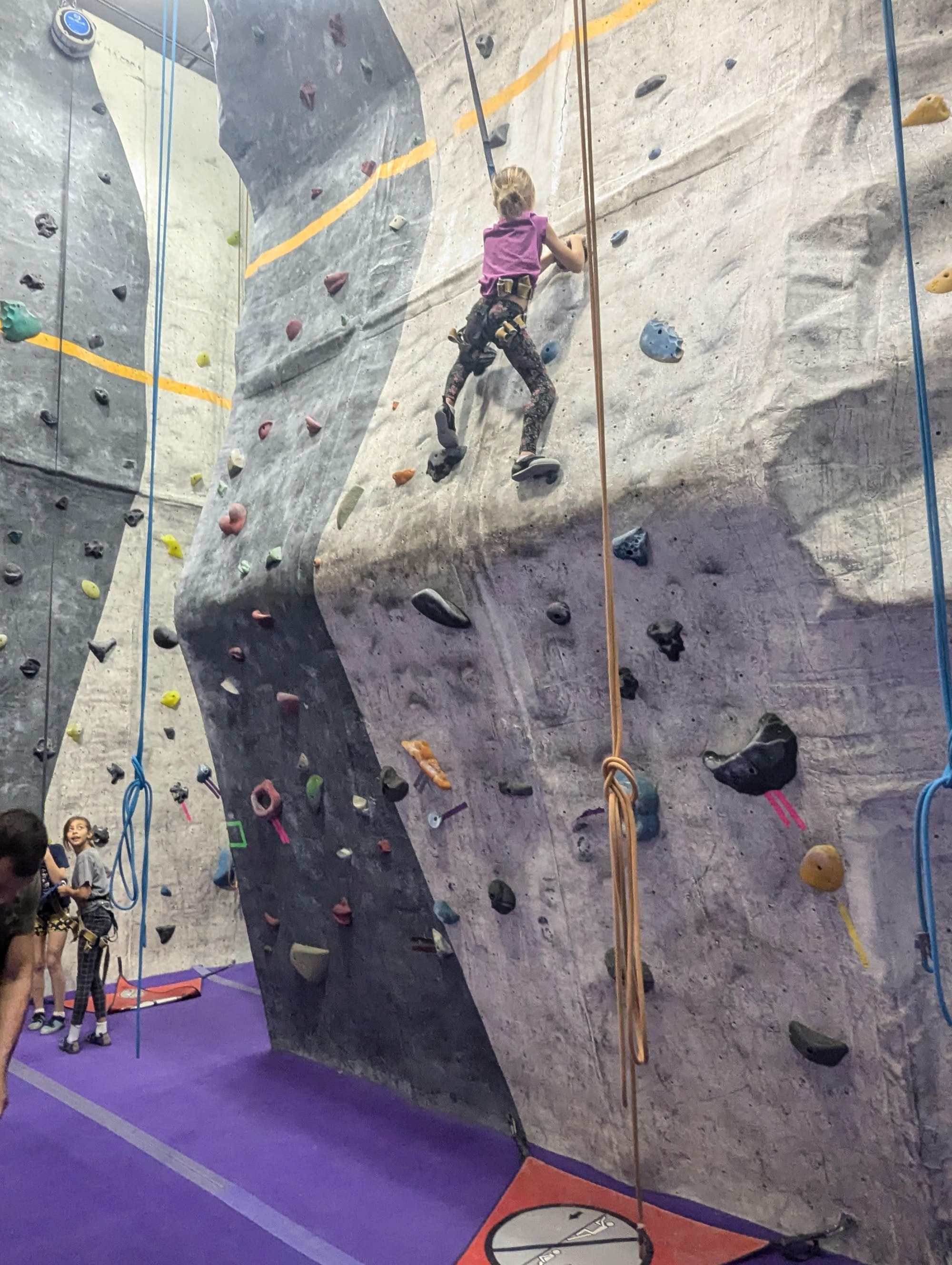 Student Climbing on a rock climbing wall.