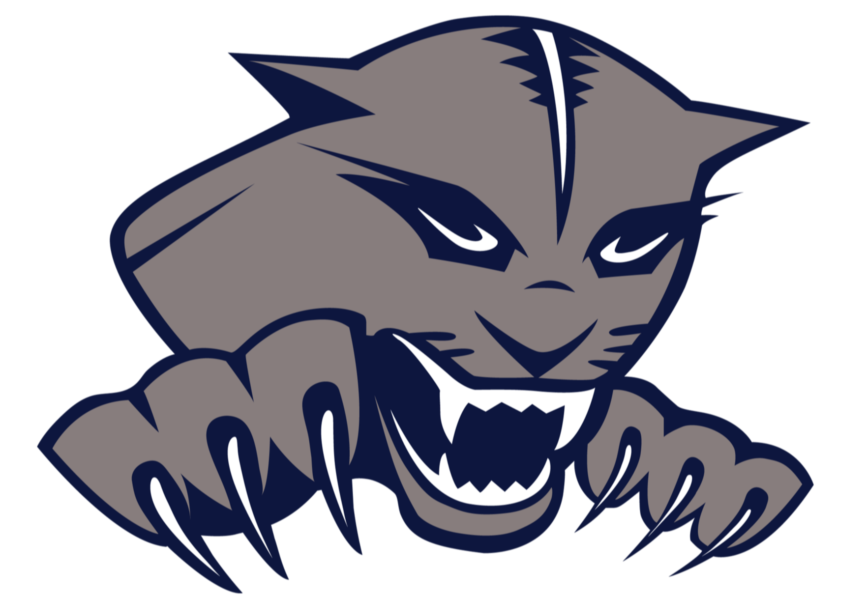Wildcat logo
